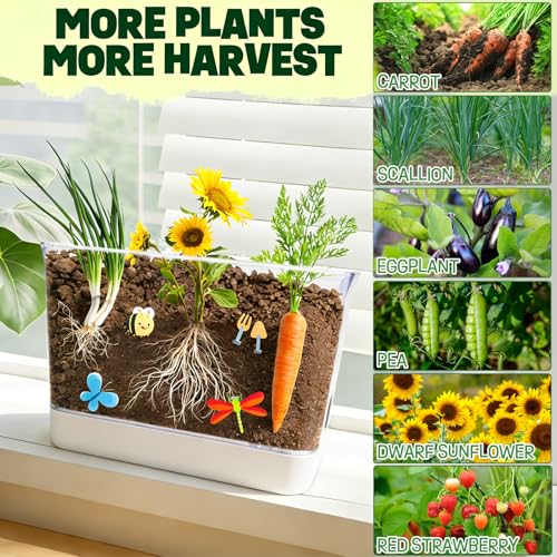 Large Root Viewer Kit for Kids STEM Science Toy Growing Kits for Ages 4, 5, 6, 7, 8, 9,10 Birthday Gifts for Boys Girls, DIY Set, Includes Strawberry, Eggplant, Dwarf Sunflower, Carrot, Pea, Scallion