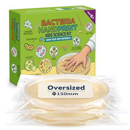 Kids Bacteria Handprint Kit - 2 Giant 150mm Prepoured Agar Petri Dishes - color: Kids Bacteria Handprint Kit