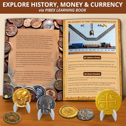 PIBEX Pirate Treasure Coins Dig Kit, 16+ Ancient Metal Coins & Skull Charms