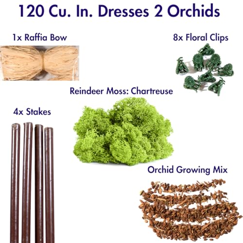 SuperMoss (90440 Orchid Potting Kit, Complete Orchid Care Set with Preserved Moss, Orchid Bark, Floral Clips and Stakes, 120 Cu. in., Reindeer Moss, Chartreuse - size: 120 Cu. In., style: Reindeer Moss