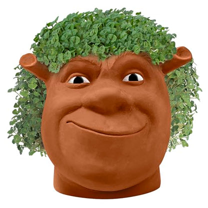 Chia Pet Shrek Terracotta Planter with Seed Pack - color: Shrek