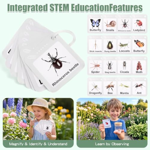 Wooden Bug Catcher Kit for Kids 3+, Bug Catching & Outdoor Explorer Kit | Wooden Insect Cage, Safe, Extendable Butterfly Net, Carry Bag, Catch & Release Adventure Set for Backyard & Camping