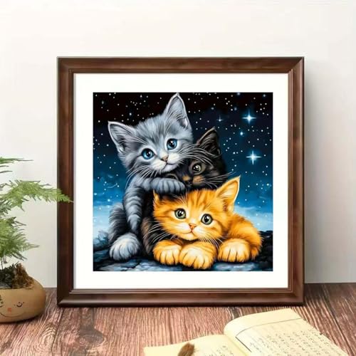 5D Starry Cat diamond art kits For adults,DIY Dimond Art Paintings Kits - color: YP075