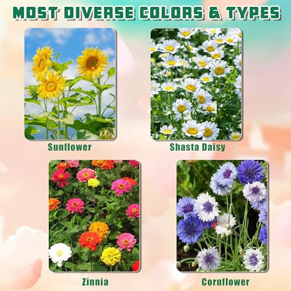 Indoor Daisy Garden Starter Kit, 4 Flower Seeds Growing into Shasta Daisy, Cornflower, Sunflower, Zinnia, Including Complete Gardening Tools for Women Men & Beginners