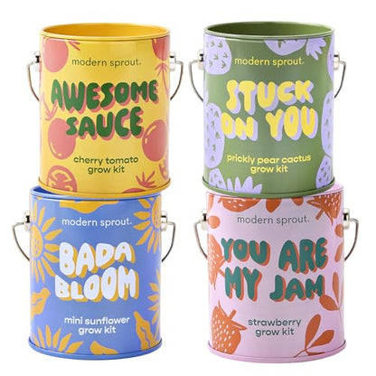 Modern Sprout Complimentary Color Grow Kits - Seed Starter Kit, Pack of 4 - size: Pack of 4