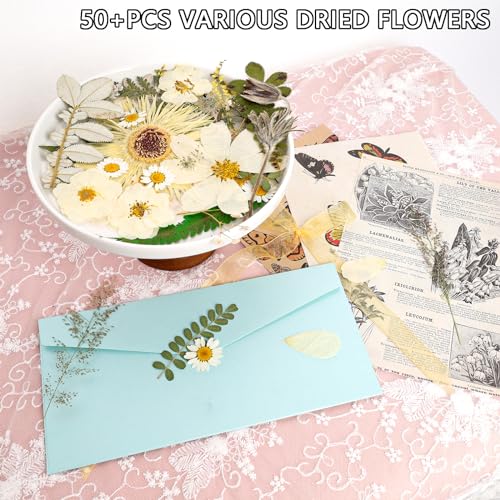 50Pcs Dried Pressed Flowers Real Pressed Flowers Natural Dry Leaves Bulk Mixed Colorful Herbs Kit with Tweezers for Scrapbooking DIY Candle Jewelry Crafts Making Nails (White) - color: White