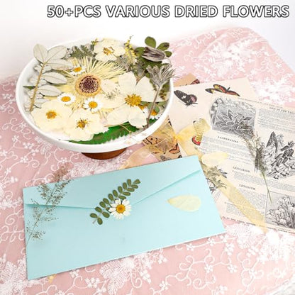 50Pcs Dried Pressed Flowers Real Pressed Flowers Natural Dry Leaves Bulk Mixed Colorful Herbs Kit with Tweezers for Scrapbooking DIY Candle Jewelry Crafts Making Nails (White) - color: White
