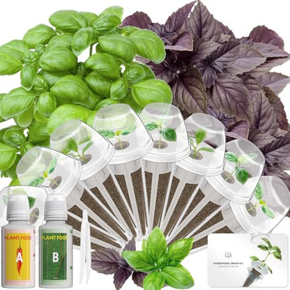 LYKOCLEAN Herb Seed Pod Kit Compatible with AeroGarden Hydroponics Growing System, Complete Indoor Gardening Supply (Basil, 8-pods) - color: Basil, size: 8-pods