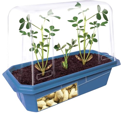 Unique Gardener Peanut Plant Garden Kit, Grow Delicious Healthy High Protein Peanuts, Planting Indoor Seeds and Outdoor Gardening Plants, Includes Everything Needed Just Add Water - style: Peanut