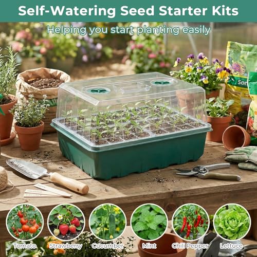 Hanaoyo Self-Watering Seed Starter Tray 2 Packs, 96 Cells Seed Starter Kit with Humidity Vented Domes and High Lid, Germination Kit for Indoor Greenhouse Seed Starter - size: 2 Pack-Self-Watering