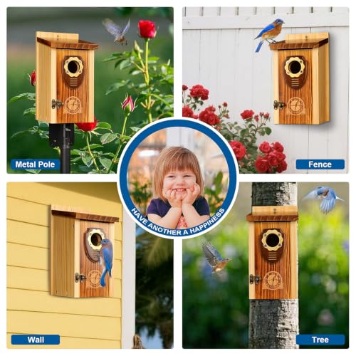 SISTERBIRD 2 Pack Bird House, Premium Bird Houses for Outside Warming Gifts - color: Medium-roast coffee color -- 2PK