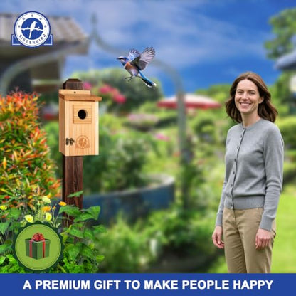 SISTERBIRD 2 Pack Blue Bird Houses for Outdoors, Warming Gifts Bird House - color: Burly Wood -- 2PK