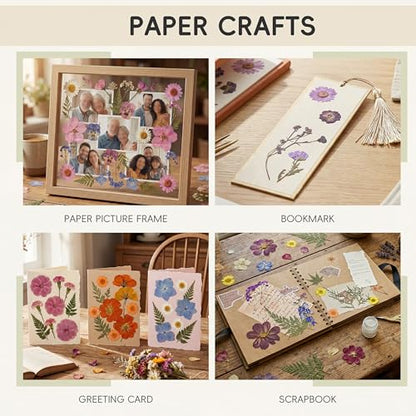 LUXEEASE 100P Pink Purple Blue Dried Pressed Flowers - color: Pink & Purple 100pcs