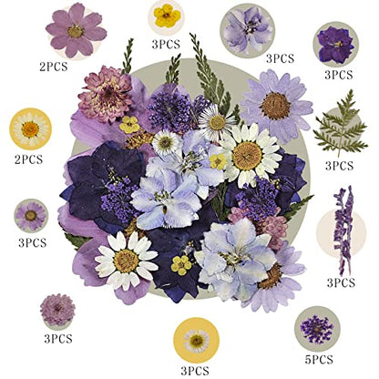 Pressed Flowers Purple 33 Pcs of 12 Types - size: 33 pcs Purple Dried Flowers