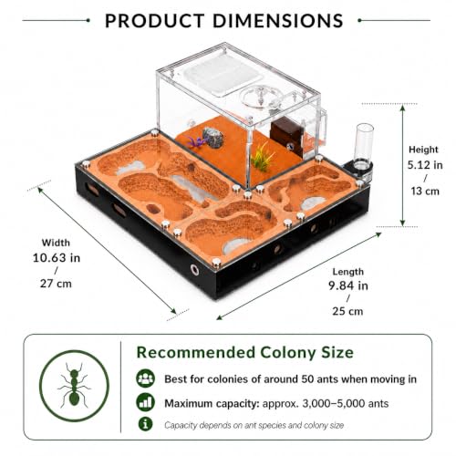 Ecological Ant Nest - Modular Ant Farm with Magnetic Glass Covers, Humidity Control, Ventilation, and Expansion Ports - Perfect for Ant Enthusiasts (10.63 x 9.84 x 5.12 inches)