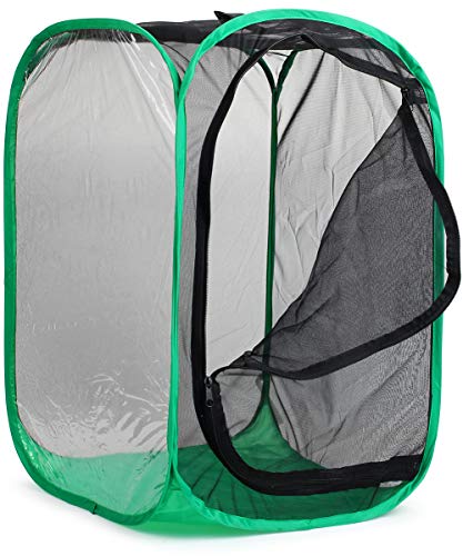 RESTCLOUD 36" Large Monarch Butterfly Habitat, Giant Collapsible Insect Mesh Cage Terrarium Pop-up 24 x 24 x 36 Inches - color: Black with Green