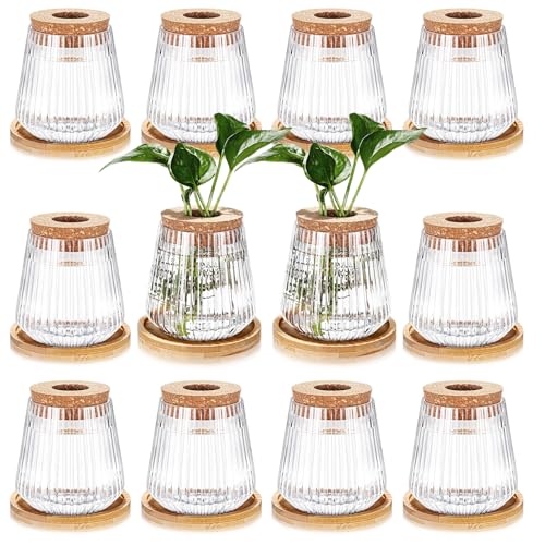 Baderke 12 Pack Propagation Vases for Plants, Vertical Grain Style - color: Vertical Grain Style