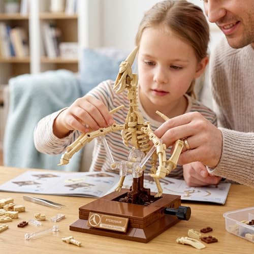 DRZYJ Pterosaur Dinosaur Fossil Building Set, 188Pcs Movable Pteranodon Skeleton Model Kit with Museum Display Stand, Educational Flying Dinosaur Toy for Kids 8+, Ideal Gift for Dinosaur Fans - style: Pterosaur