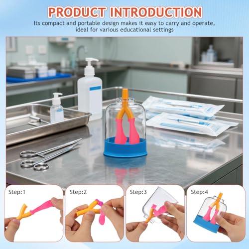 ULTECHNOVO Human Lung Breathing Model, Compact Anatomical Diaphragm Movement Demonstration Kit for School Science Classroom & Biology Lab, Educational Interactive Anatomy Learning Aid for Kids Student