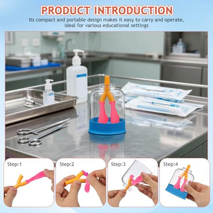 ULTECHNOVO Human Lung Breathing Model, Compact Anatomical Diaphragm Movement Demonstration Kit for School Science Classroom & Biology Lab, Educational Interactive Anatomy Learning Aid for Kids Student