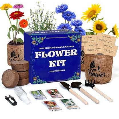 Indoor Daisy Garden Starter Kit, 4 Flower Seeds Growing into Shasta Daisy, Cornflower, Sunflower, Zinnia, Including Complete Gardening Tools for Women Men & Beginners