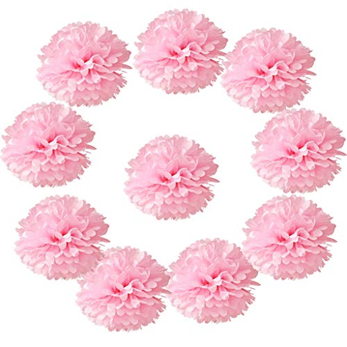 10pcs Tissue Hanging Paper Pom-poms Flower Ball Wedding Party Outdoor Decoration, Hmxpls Premium Tissue Paper Pom Pom Flowers Craft Kit(Pink) - color: pink