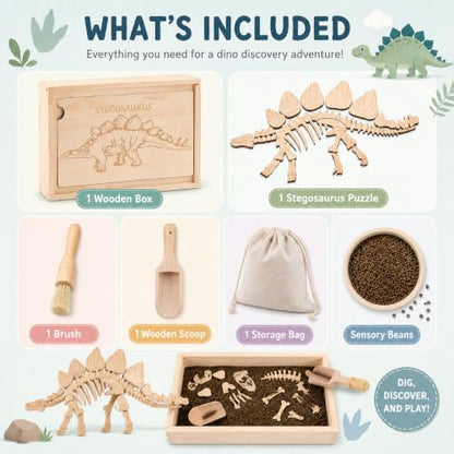 Dino Excavation Archaeology Dig Kit, Fossil Digging Kit for Kids, Dinosaur Skeletons Bones Puzzle Game with Wooden Storage Box, STEM Toys for Boys and Girls (Stegosaurus) - color: Stegosaurus