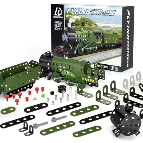 Lucky Doug STEM Building Projects Model Train Set Toys for Boys Kids 8 9 10 11 12 Years Old and Older - 340 PCS DIY Metal Building STEM Toys - style: 869-1