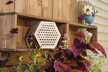 Toysmith Beetle & Bee Solitary Habitat Kit, Wooden Outdoor Science Toy - style: Solitary Bee Habitat