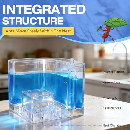Ant Nest, Ant Habitat Kit
