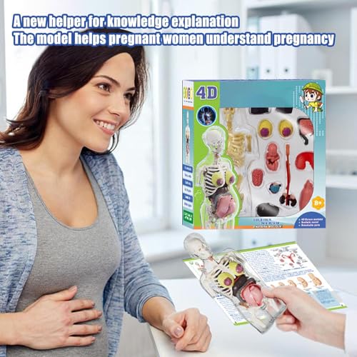 Human Body Model for Kids | Pregnancy Skeleton Model Toy | Anatomical Assembly Educational Toys for Children Classroom Students Learning Enthusiasts Preschool