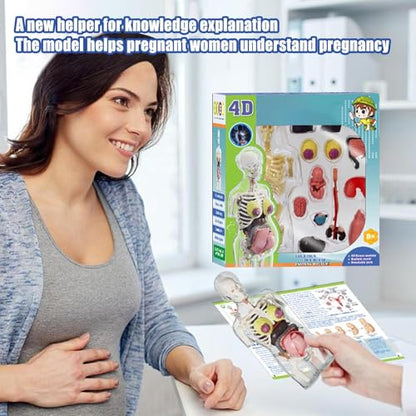Human Body Model for Kids | Pregnancy Skeleton Model Toy | Anatomical Assembly Educational Toys for Children Classroom Students Learning Enthusiasts Preschool