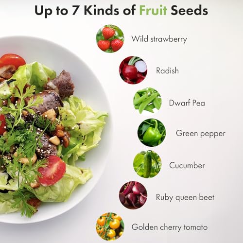 LYKOCLEAN Strawberry Seed Pods kit for AeroGarden, Ahopegarden - Includes Wild Strawberry, Radish, Dwarf Pea, Green Pepper, Ruby Queen Beet, Golden Cherry Tomato, 12 pods, 400+Seeds - color: Fruit, size: 12pods