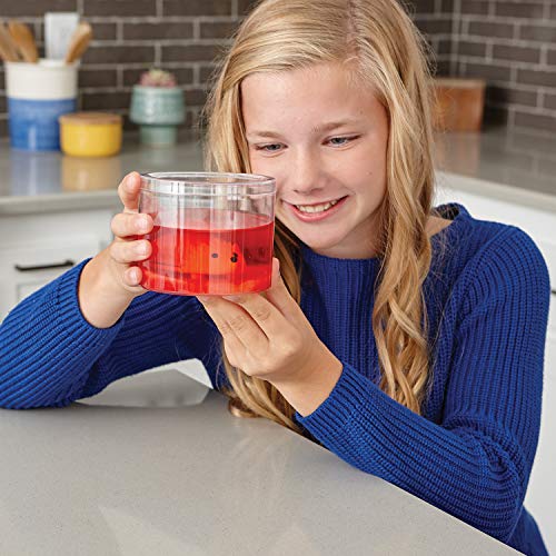 MindWare Crystal Growing Kits: Hedgehogs Warm Colors Set of 2 – Cute DIY Crystal Growing Kits for Kids & Teens – Mini Science Experiment – Crystals Grow in 24 Hours - style: Hedgehog