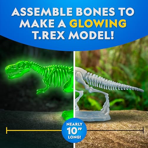 National Geographic Glow-in-the-Dark T. Rex Dissection Lab Kit for Kids - style: T. Rex Dissection Kit