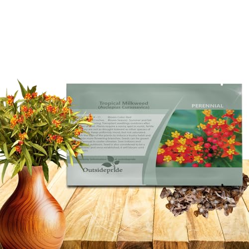 Outsidepride Tropical Milkweed Seeds - 2000 Pcs Perennial, Heat & Humid Tolerant, Pollinator-Friendly Wildflower Seeds, Ideal for Monarch Butterflies, Cut Flowers, Borders, or Meadows - size: 2000 Seeds