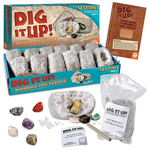MindWare Dig It Up! Stone Fossil Dig Kits for Kids