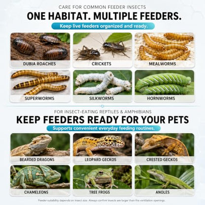 Feeder Insect Breeding Box Kit for Dubia Roaches & Crickets, Ventilated Reptile Feeder Container with Removable Tray, 2 Dividers, Catcher, Tweezers & 150 mL Bottle