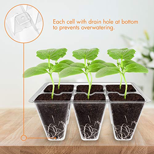 Gardzen 3 Pack Seed Starter Tray Germination Kit, Seed Starter Kit with Adjustable Humidity Dome, Plant Growing Kit 6.6" x 4.5" (12-Cell per Tray), Clear - color: Clear, size: 3-Pack