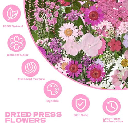 Dried Flowers for Resin 116Pcs Pink Real Natural Pressed Flowers - size: 116 pcs Pink Dried Flowers with Butterfly Stickers