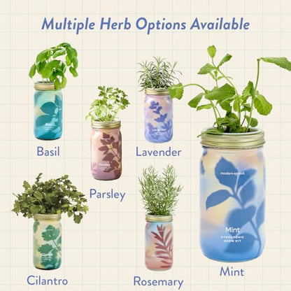 Modern Sprout Mason Garden Jar - Self-Watering Hydroponics Kit - Mint - color: Mint, size: Garden Jars