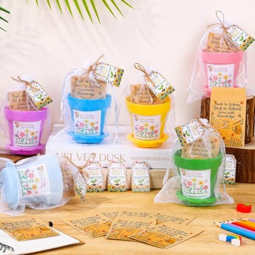 Back to School Mini Flower Pots Kit Plant Garden Pot with Thank You Cards