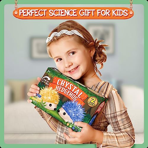 Crystal Growing Kit - 2 Vibrant Hedgehogs Fast 24H, STEM Gift for Kids 6-12 - color: 2 Hedgehog Crystal