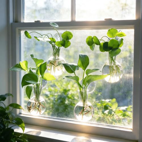 Bunmery 4 pcs Window Propagation Stations, Easy to Install Plant Propagation Bulbs with Suckion Cups, No Nails Wall Hanging Planter Propagation Station, Glass Plant Terrarium Vase - color: Clear Bulb, size: 4 PCS