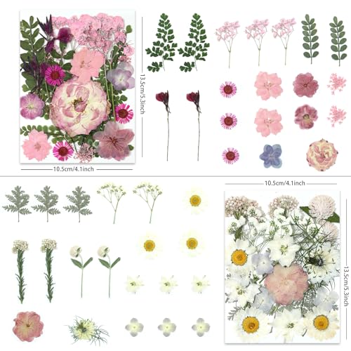 LUXEEASE 4-Color 80P Natural Dried Pressed Flowers - color: Orange/Purple/Pink/Neutral 80p