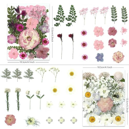 LUXEEASE 4-Color 80P Natural Dried Pressed Flowers - color: Orange/Purple/Pink/Neutral 80p