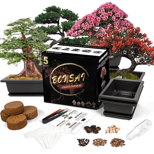 Bonsai Starter Kit, Growing Set Including Complete Gardening Tools with A Gift Box, Gifts for Women