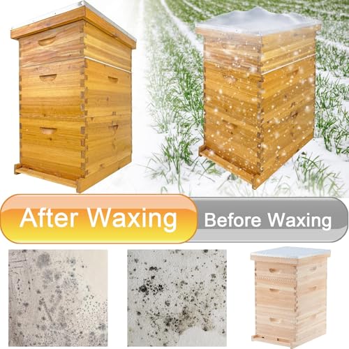 Beehive Boxes 3 Layer Langstroth Bee Hive Kit