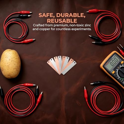 Homoyoyo Copper and Zinc Strips 10 Pairs Fruit Battery Experiment Supplies Electrodes for Science Projects Classroom Teaching Group Experiments Lab Electrochemistry Accessories 1.57 X 0.35 X 0.07 in