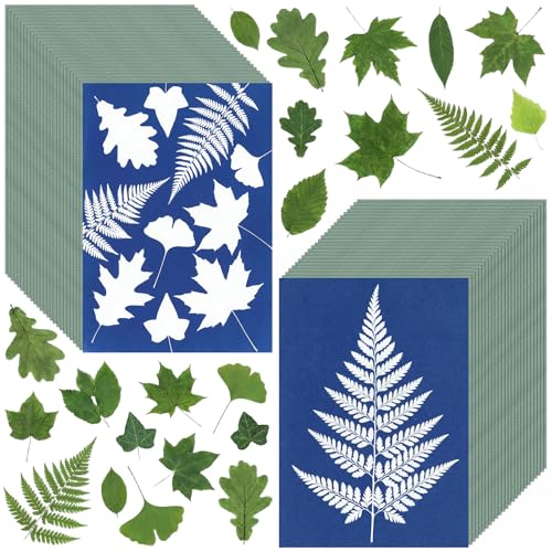 Sun Print Cyanotype Paper Kit, 50 Sheets A6 Cyanotype Papers with 1 Sheet Acrylic Panel, High Sensitive Nature Solar Activated Sun Printing Art Supplies for Arts Crafts DIY Project